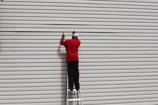 Best Storm Damage Siding Repair  in Byrdstown, TN
