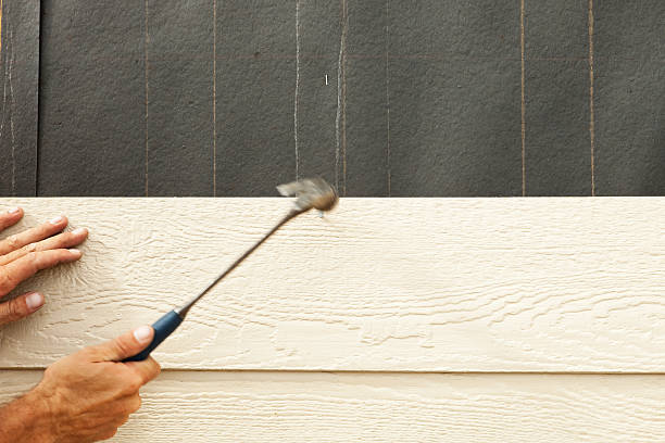 Best Vinyl Siding Installation  in Byrdstown, TN