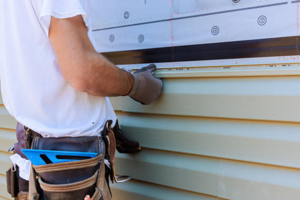 Best Stone Veneer Siding  in Byrdstown, TN